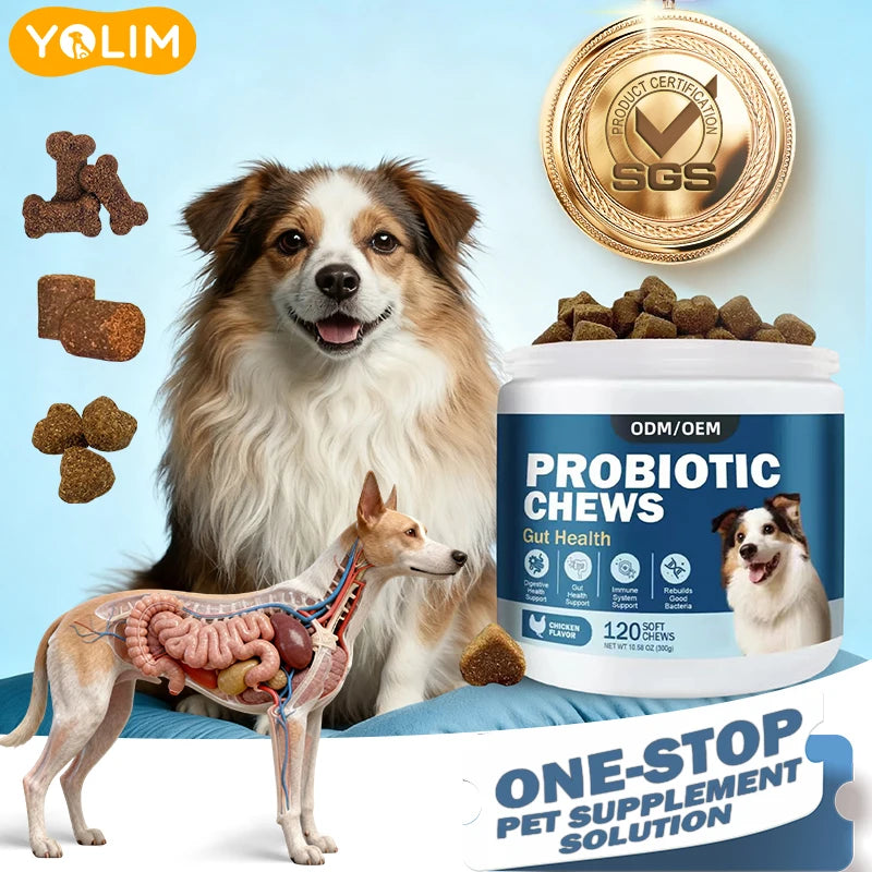 OEM/ODM Service Probiotic Chews for Dogs & Cats Seasonal Gut Care with Marshmallow Root Extract 120 Soft Chews Free Sample