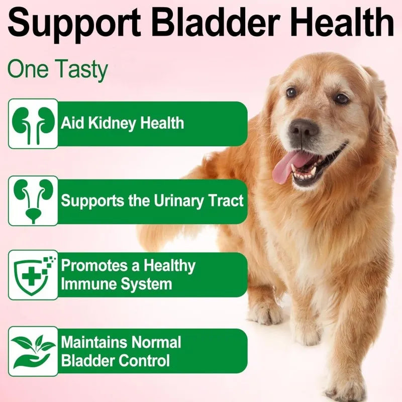 Fast Shipping Dog Supplement Promotes Urinary Tract Health Dog Soft Chews with Cranberry