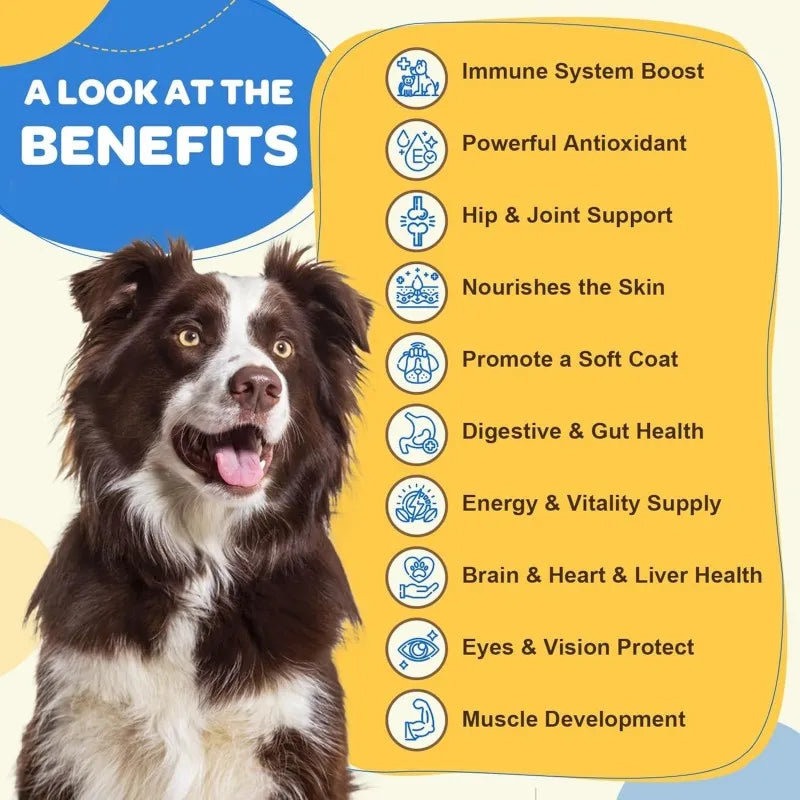 Low Moq Boost Energy & Vitality Pet Supplement Pet Collagen Drops with Probiotics