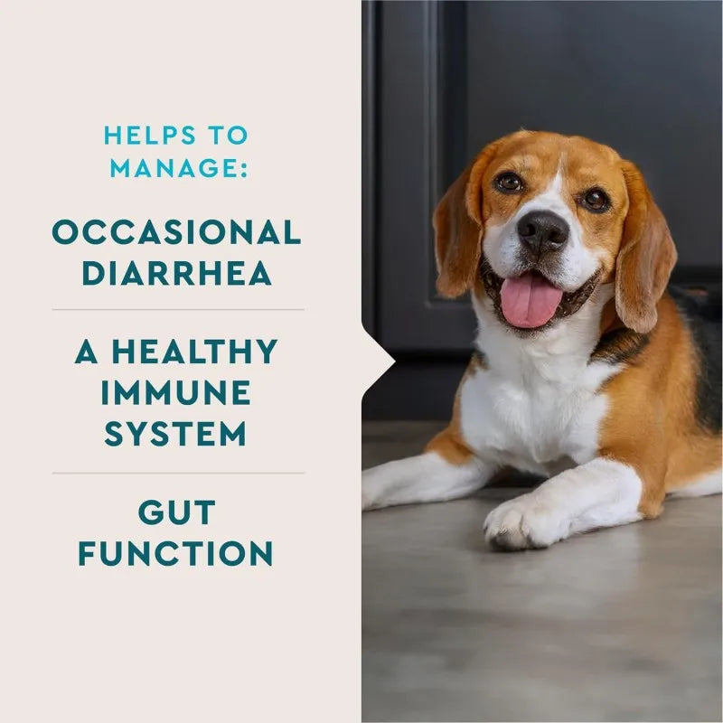 Packaging Customization Upset Stomach Ease with Probiotics for Dogs Pet Supplements Powder Free Sample