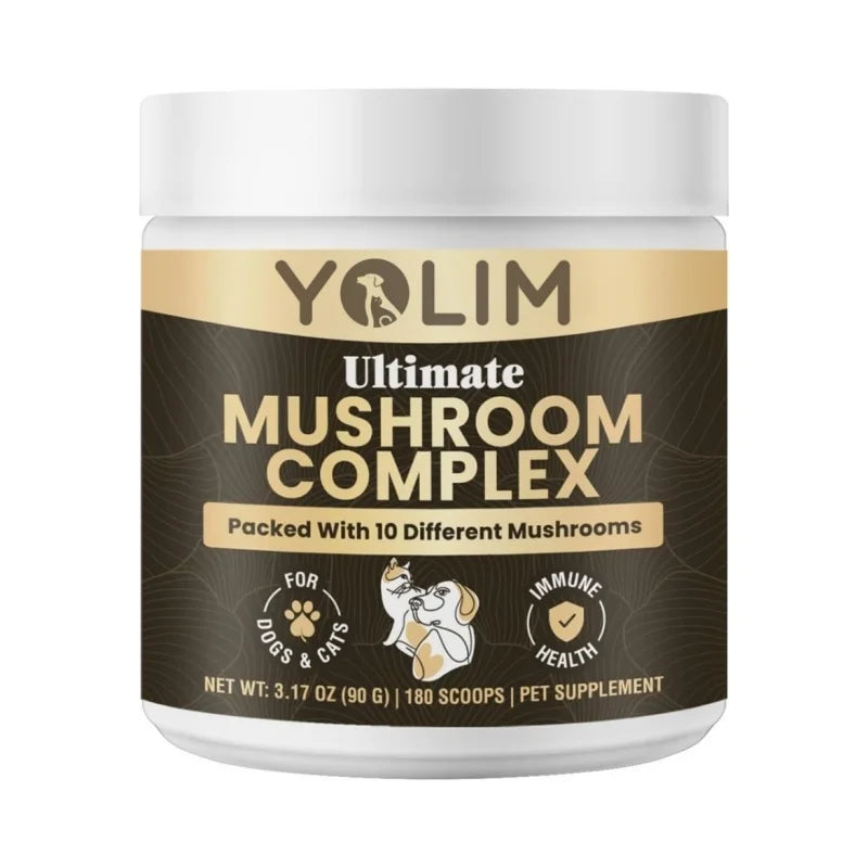 Wholesale Price Mushroom Powder Lion's Mane Cognition & Brain Health Dog for All Breeds Pet Supplements Free Sample
