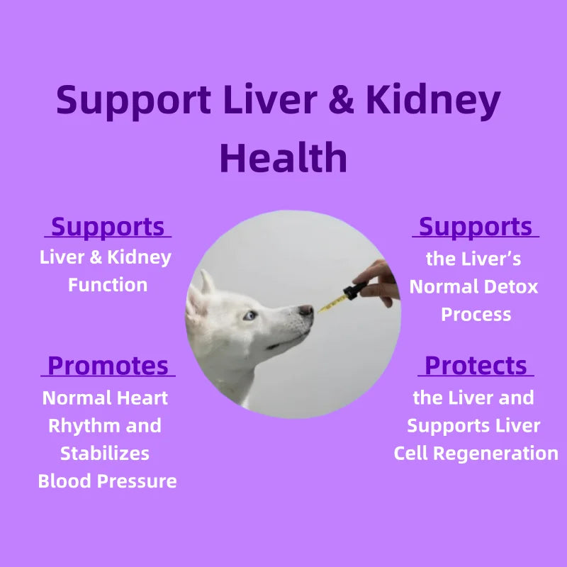 Fast Shipping Supports the Liver Normal Detox Process Pet Health Care & Supplements Dog Vitamins with Milk Thistle Extract