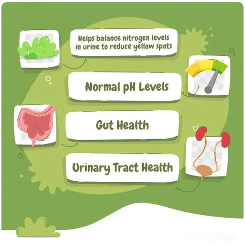 Best Selling Urinary Track Health Supports Pet Supplements and Vitamins Dog Treats with Probiotics