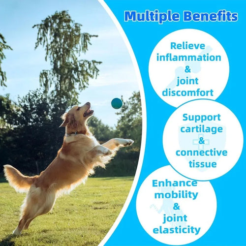 Custom Logo Hip & Joint Chews for Pets Boost Vitality Glucosamine 150 Chewable for All Breeds Ftee Sample