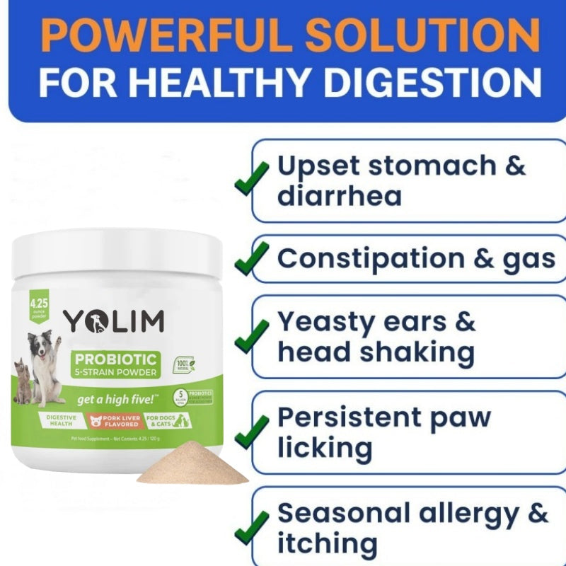 Formula Customization Digestive & Immune Health with Probiotics Enzymes for Dogs Pet Supplements Powder Fast Shipping